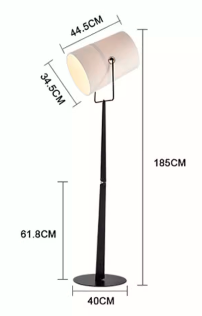 Nordic Classical Design Decorative Corner Standing Unique Led Curve Floor Lamp