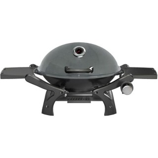 Portable Outdoor Bbq Gas Barbecue Grill