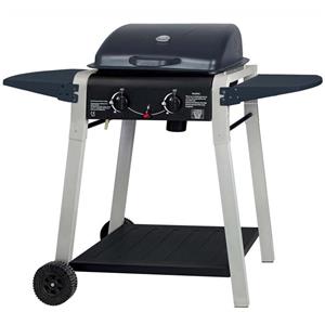 Grill Gas Outdoor Barbecue Griddle Stainless Steel Bbq