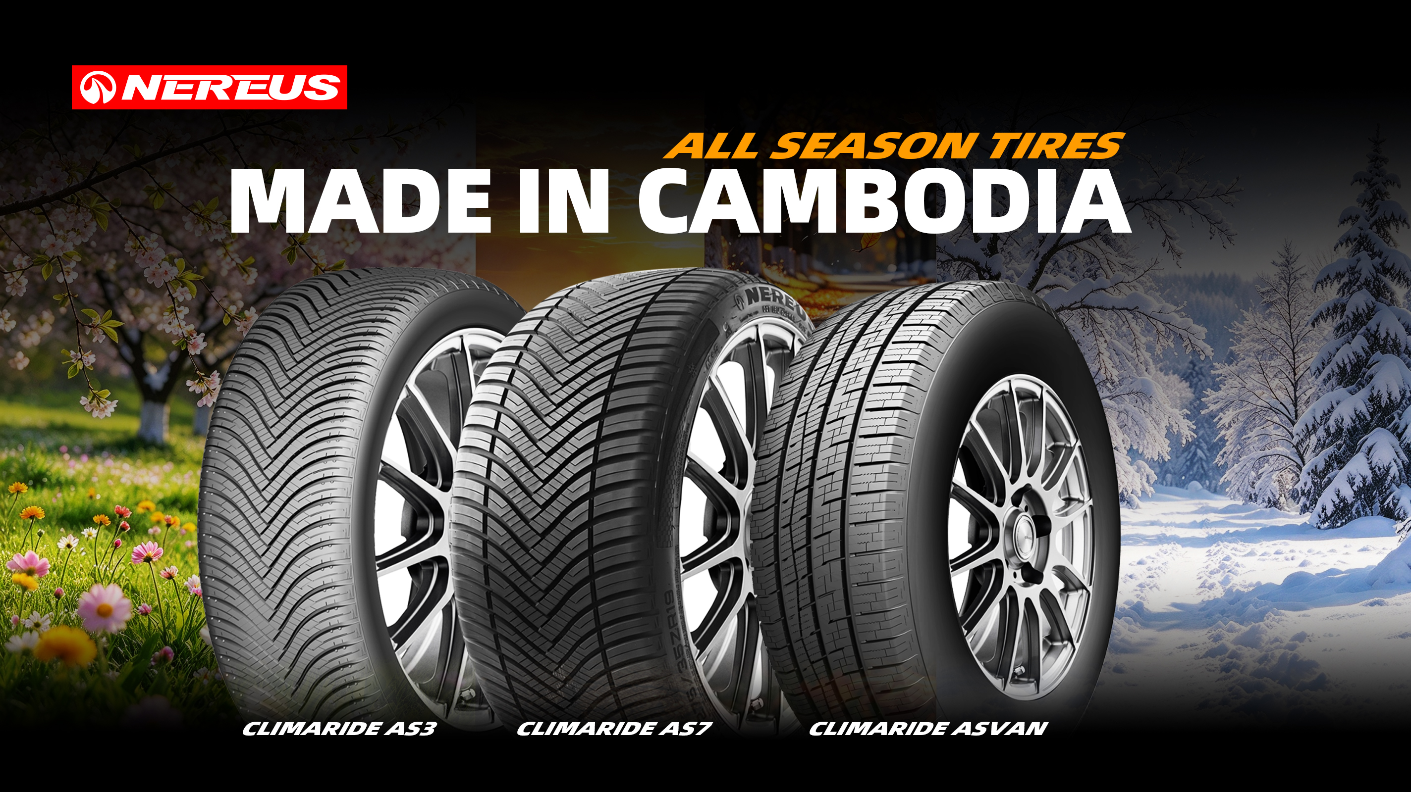 NEREUS TYRE NEREUS TYRE