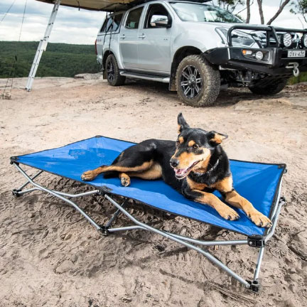 Lightweight Folding Outdoor Fabric Dog Pet Bed