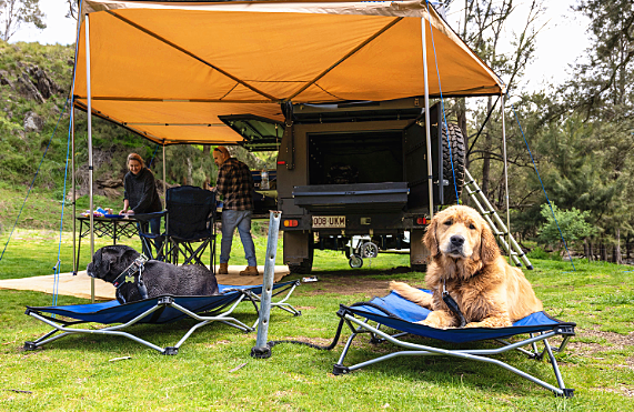 outdoor camping dog bed