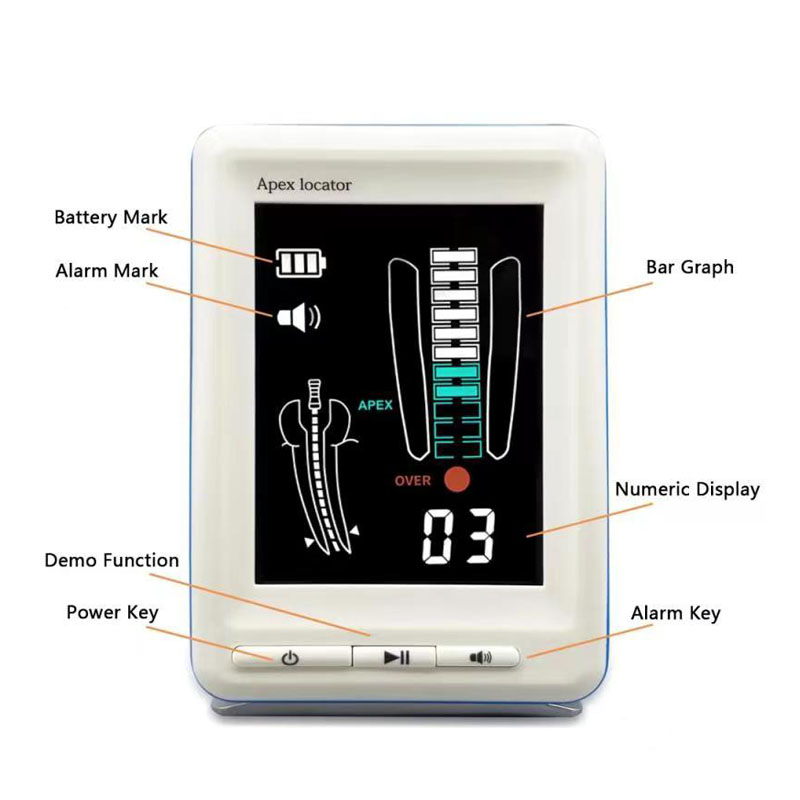 Endodontic Root Canal Treatment Dental Endomotor