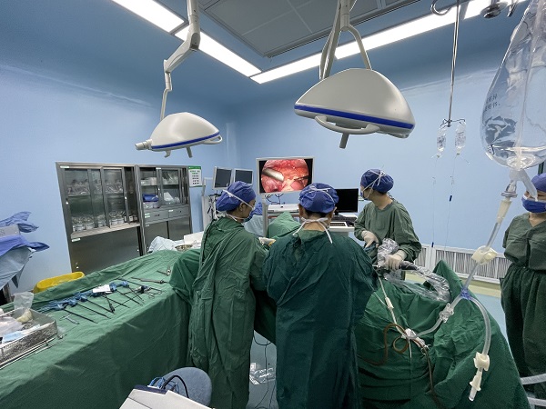 Dajing endoscope camera for hysteroscope operation