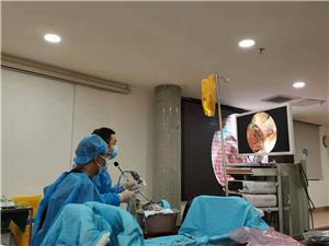 Anatomía de la base nasocraneal con sistema de cámara de endoscopio Dajing