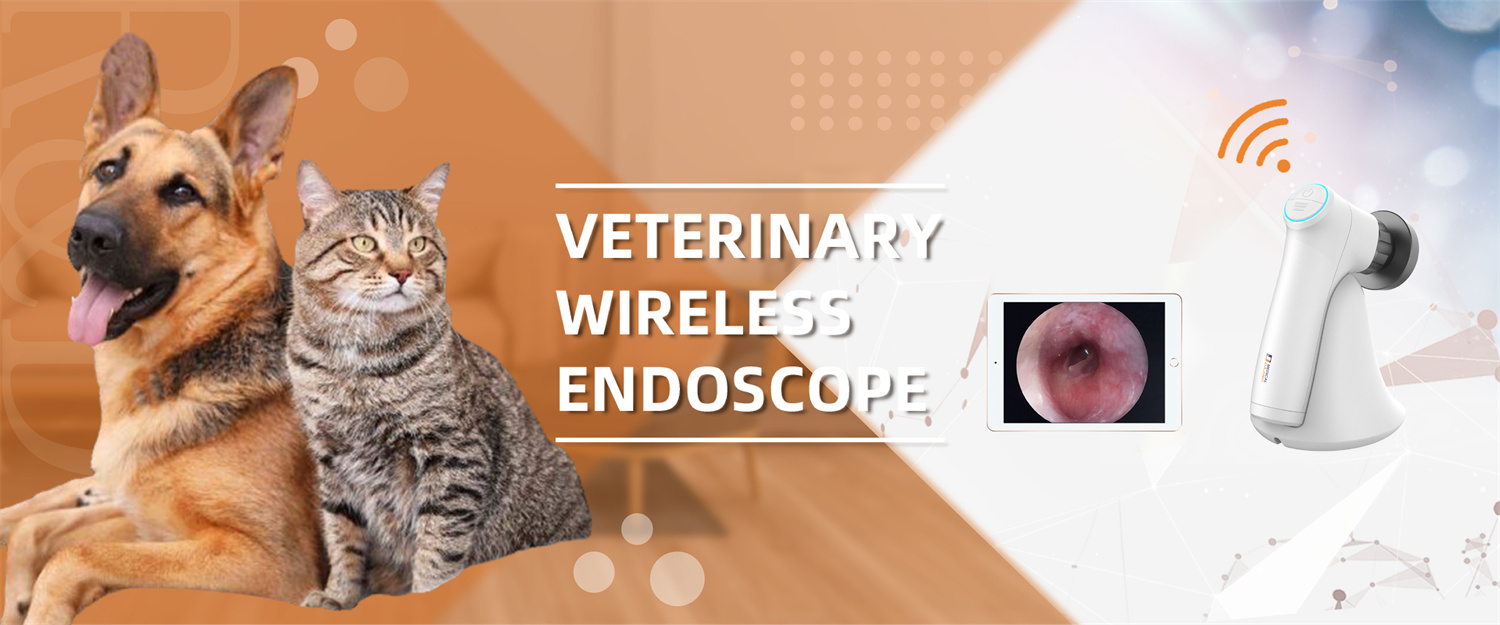 Vaterinary endoscope 2