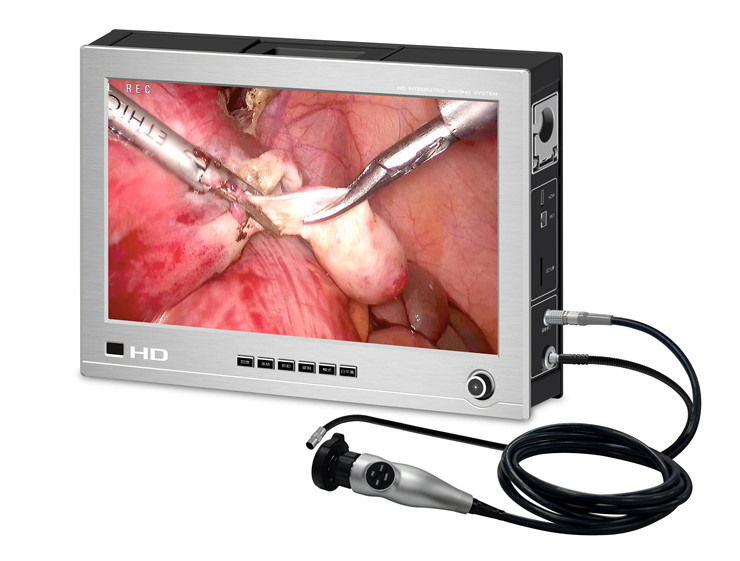 Système d'imagerie d'endoscope portable vétérinaire