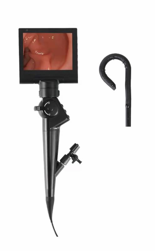 Urétéro-néphroscope vidéo portable