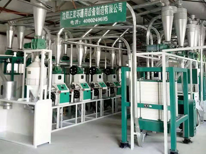 20 Tons Per Dany Flour Mill Machines