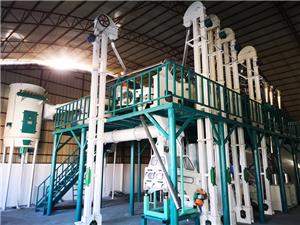 Ligne de traitement de maïs de 50 tonnes par jour