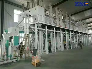 Ligne de traitement de maïs de 100 tonnes par jour