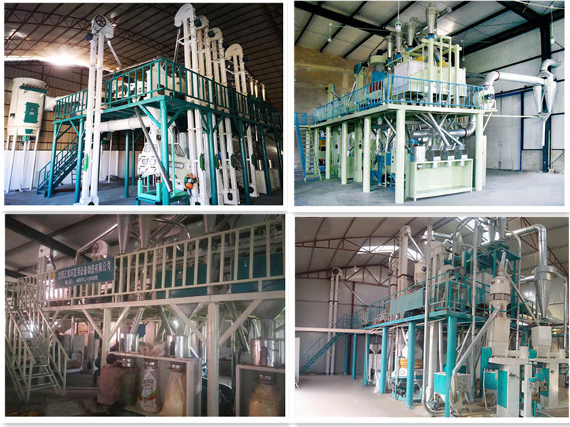 maize milling machine