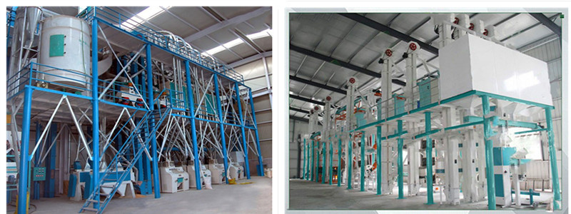 maize milling equipment