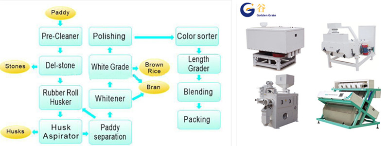 rice processing plant