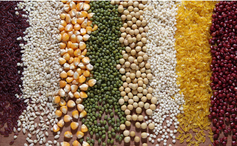 ¿Qué se incluye en el procesamiento de alimentos?