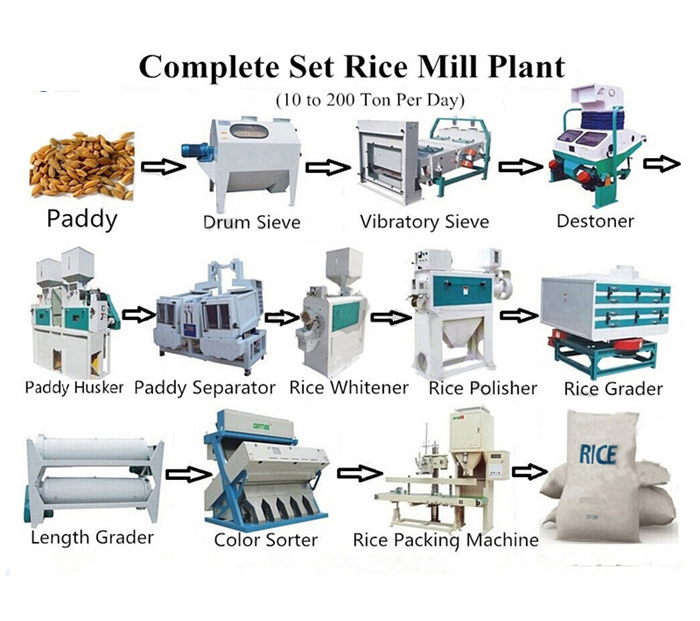 rice processing