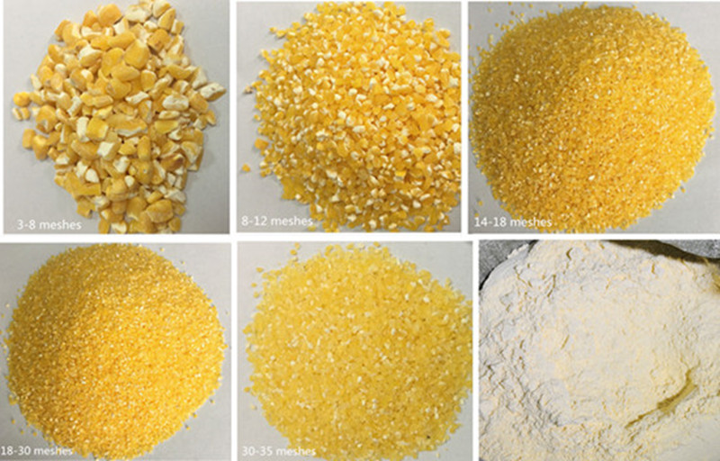 corn processing equipment industry