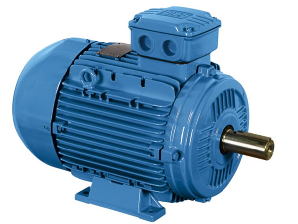 Precautions for using the motor in corn processing equipment