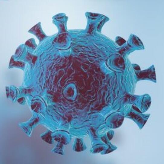 अंतर्राष्ट्रीय खाद्य कीमतों पर