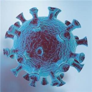 Impact des souches variantes « Omi Keron » sur les prix internationaux des aliments