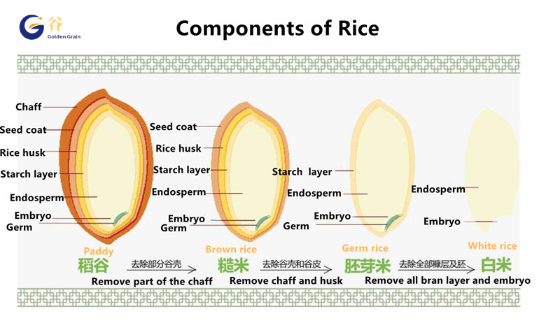 Professional rice manufacturing equipment