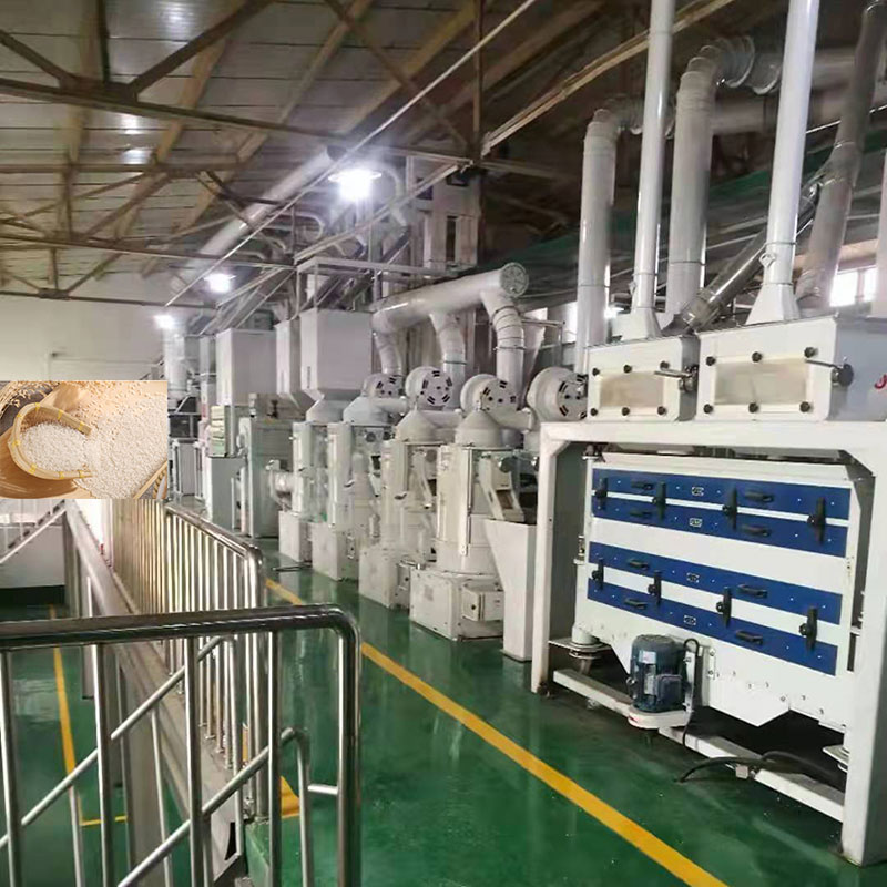 paddy processing line