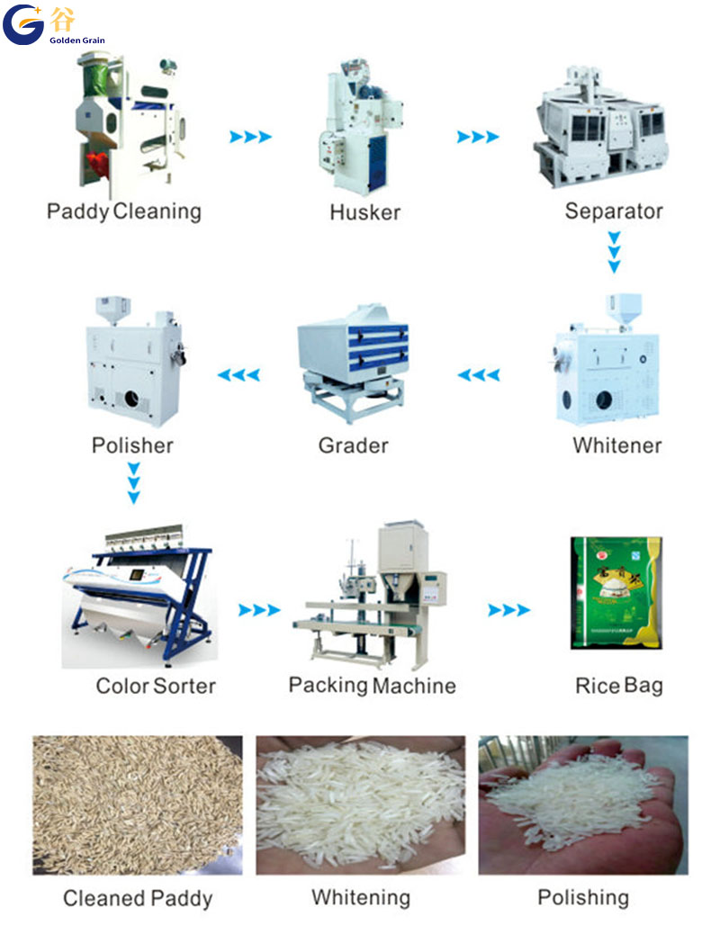 paddy processing line