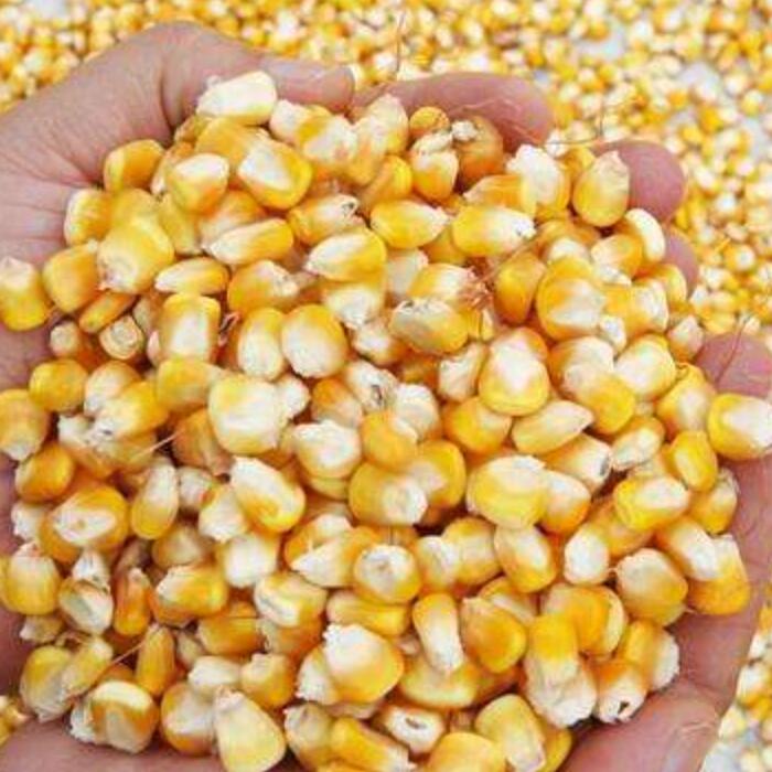 मकई पूर्ण उपकरण की डीहलिंग विधि