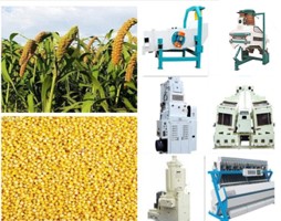 Comment faire fonctionner correctement l'équipement de traitement du riz ?