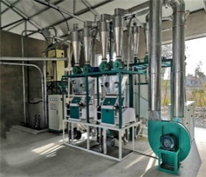 Technologie de transformation du maïs