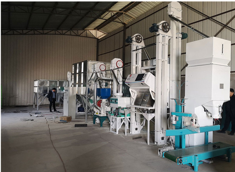 20 tonelada bawat araw rice mill- machine installation site