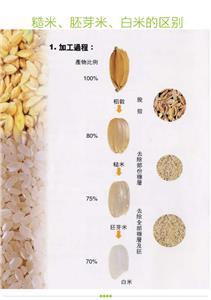 Machines de traitement des céréales