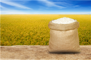 Kawili-wiling proseso ng packaging ng bigas