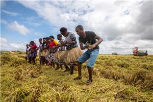 Augmenter les dépenses publiques pour promouvoir la transformation agricole L’Afrique lutte pour la sécurité alimentaire