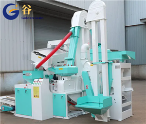 De millet en millet : le voyage d’un grain