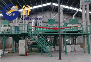 Félicitations pour la mise en service réussie de l'équipement de transformation du maïs de 200TPD !