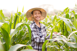 Une émission de variétés étroitement liée au développement agricole
