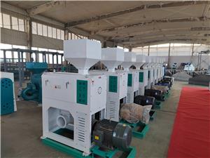 Une brève introduction à la machine à éplucher et à polir le riz