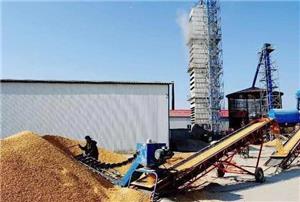 Accrochez-vous à la « soupape de sécurité » du séchage des grains et récitez souvent le « mantra de sécurité » du séchage des grains.