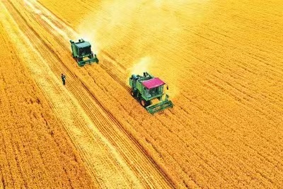 The emergence of rice processing equipment has increased the added value of agricultural products