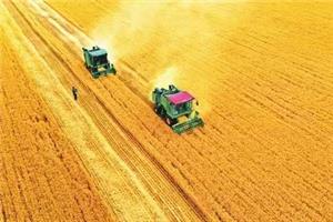 L’émergence des équipements de transformation du riz a augmenté la valeur ajoutée des produits agricoles