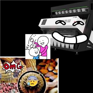 Trieur de couleurs – le némésis de l’aflatoxine