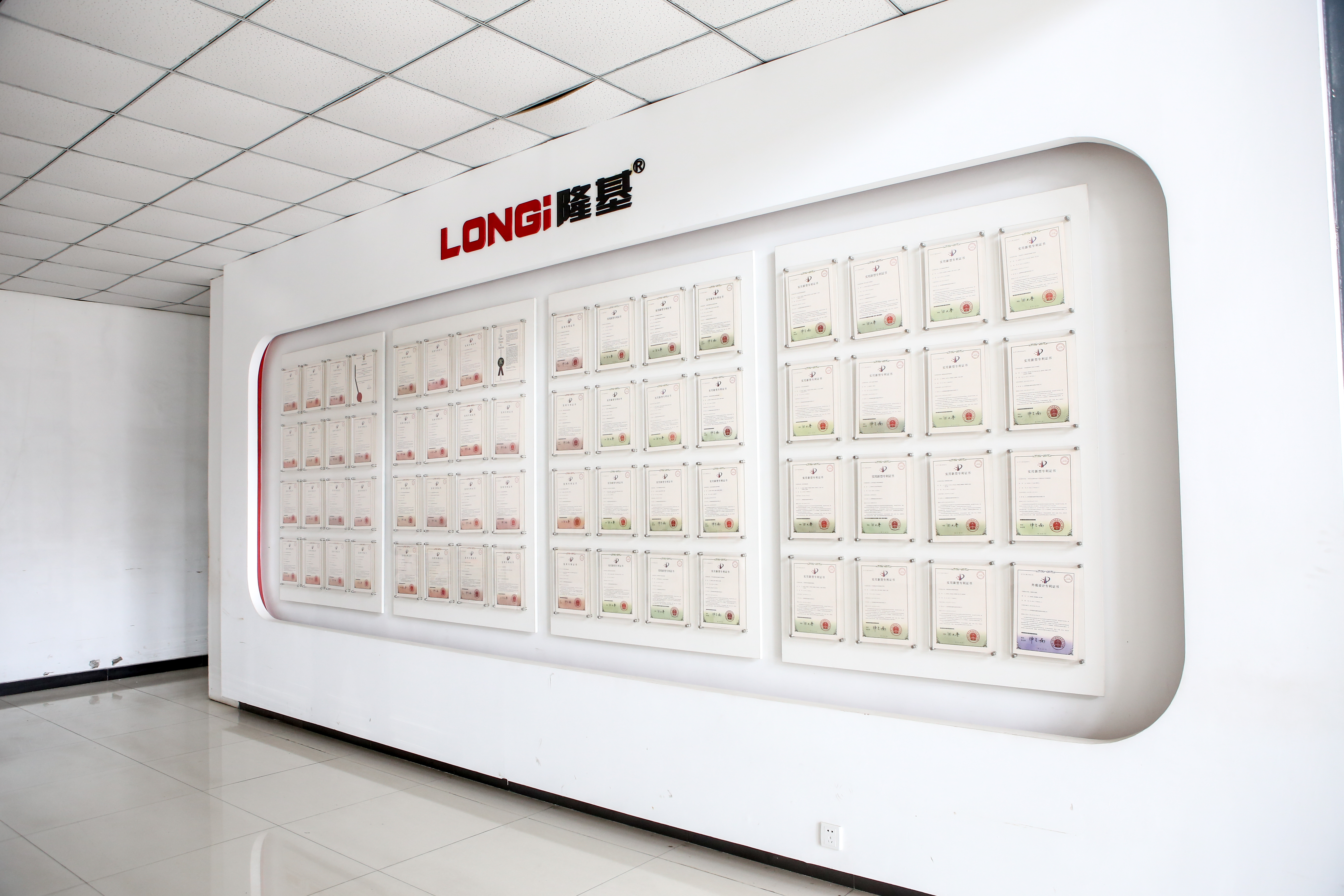 LONGi Magnet Co. Ltd.