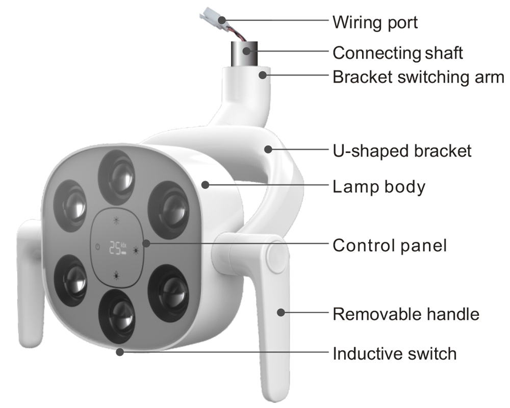 sensor dental lamp