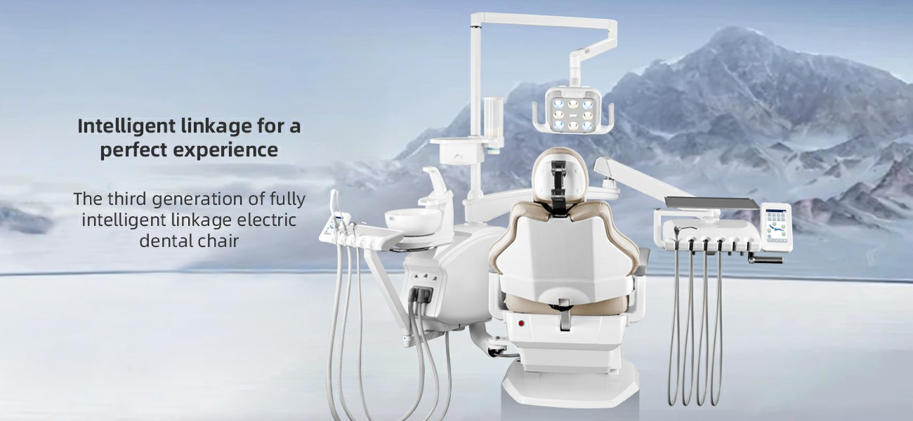 High-end dental chair