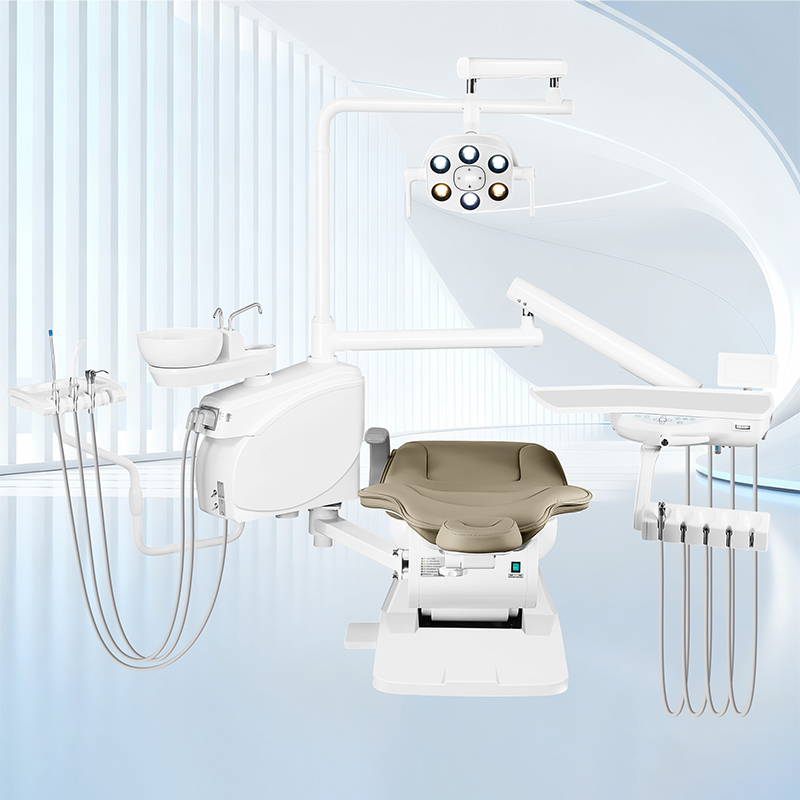 CE Basic Model Complete Price A1 (26) Dental Chair