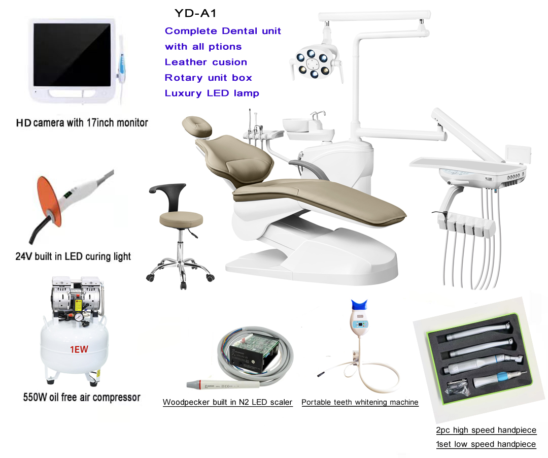 What are the future development trends of the overseas dental industry?