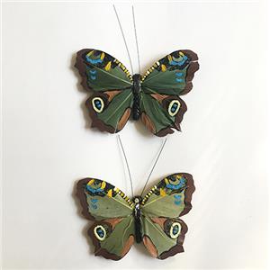 Augenmuster Schmetterling