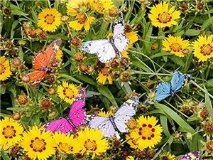 蝴蝶裝飾的用途