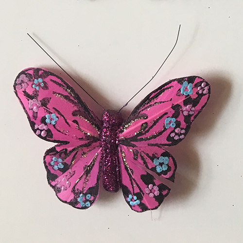 Butterfly Kids Room